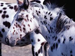 images (11)
