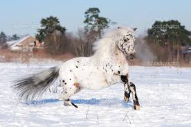 images (20)