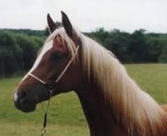 stažený soubor (16)