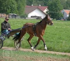 stažený soubor (18)