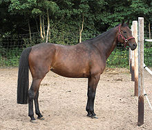 220px-Bess2